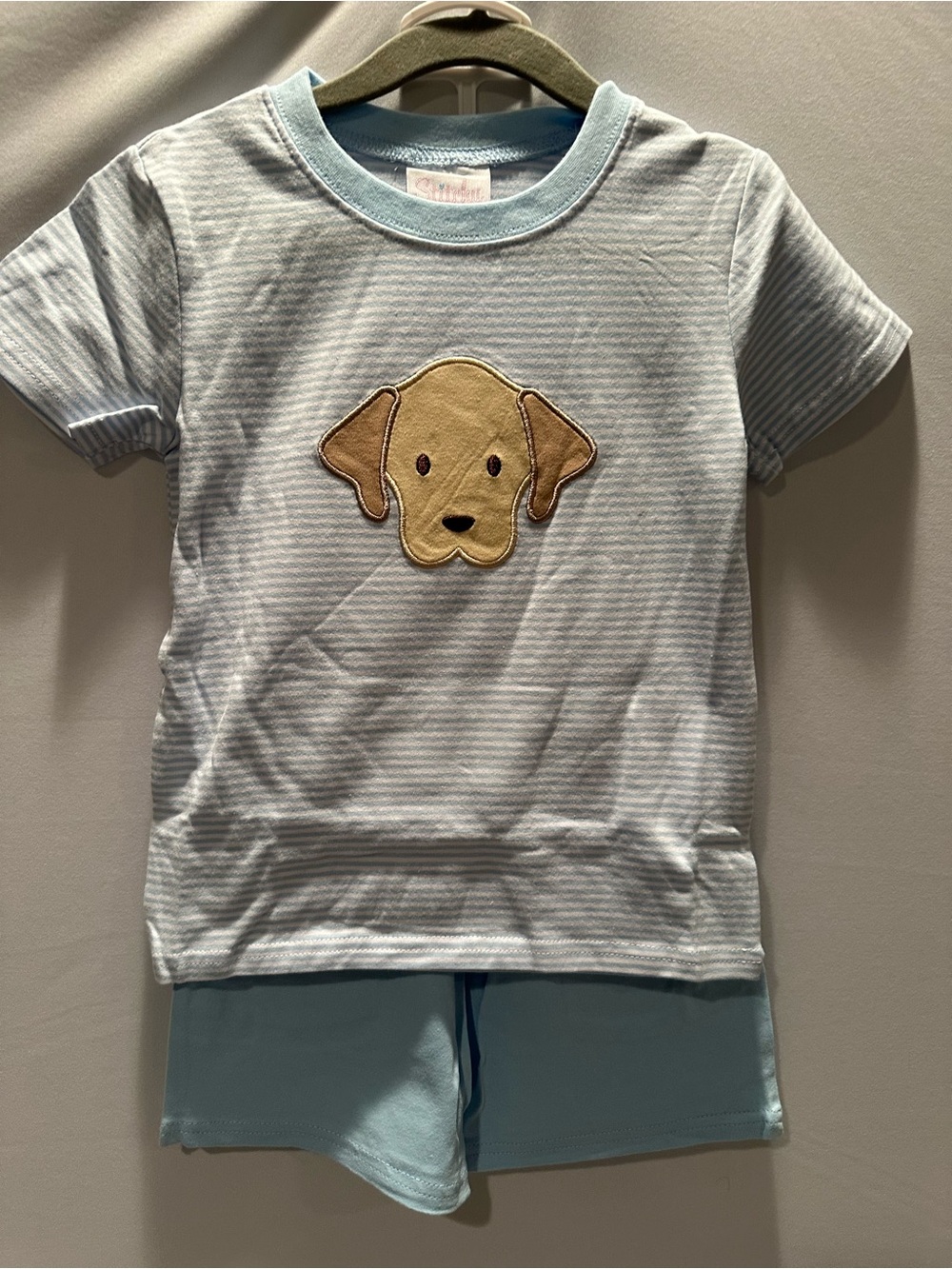 Kids Light Blue Puppy Appliqué Short Sleeve Shirt with Shorts
